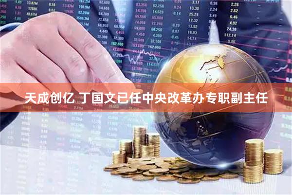 天成创亿 丁国文已任中央改革办专职副主任