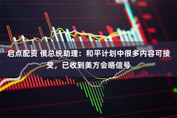 启点配资 俄总统助理：和平计划中很多内容可接受，已收到美方会晤信号