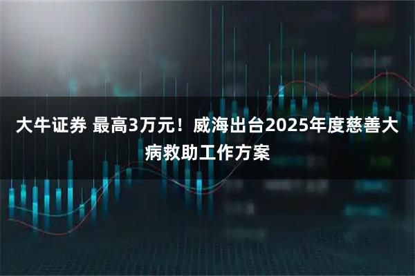 大牛证券 最高3万元！威海出台2025年度慈善大病救助工作方案
