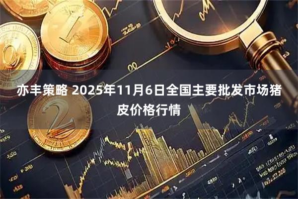 亦丰策略 2025年11月6日全国主要批发市场猪皮价格行情